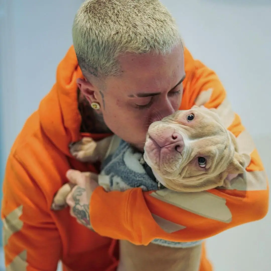 Imagem da notícia: MC Daniel lamenta morte de cachorro por acidente; cantor dedicou show no Fortal ao cão