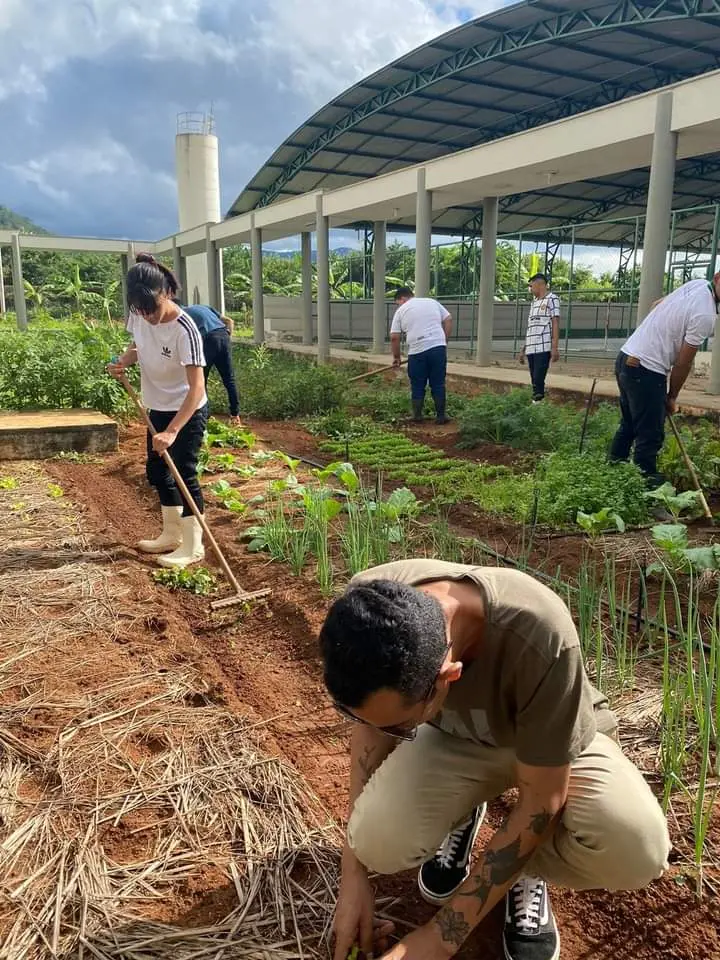 Imagem da notícia: Como funciona a escola pública agrícola do Ceará que é a melhor estadual do Brasil, segundo o Ideb