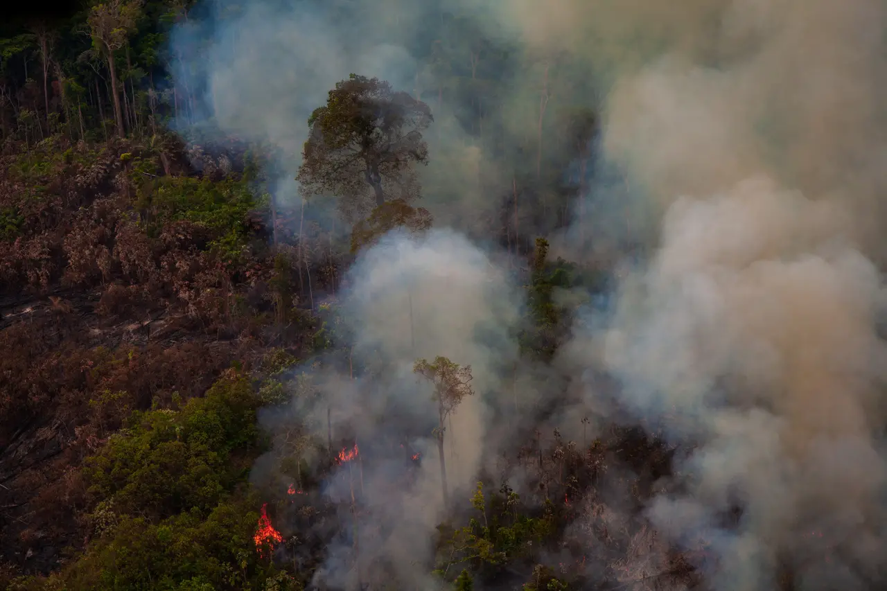 Imagem da notícia: Fumaça de queimadas na Amazônia e no Pantanal afeta cidades do Sul e Sudeste; confira