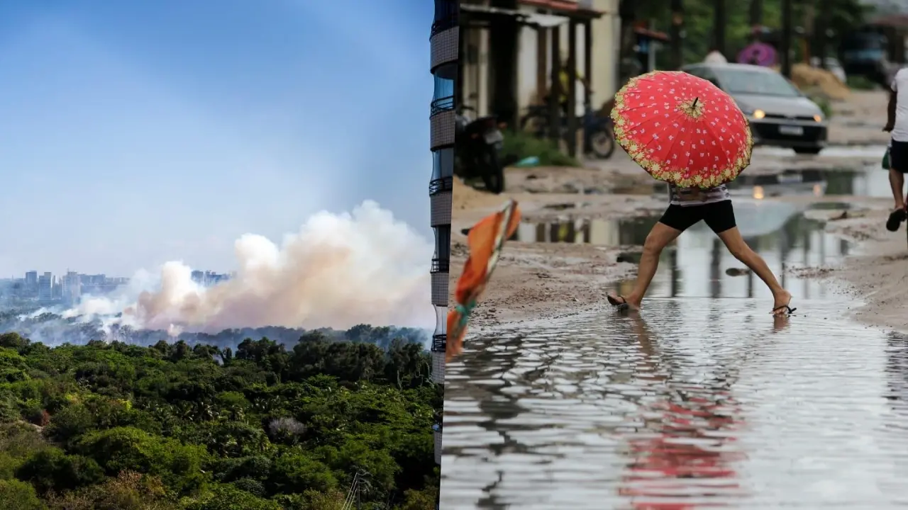 Imagem da notícia: De asma a infarto: quais as doenças e agravos de saúde que podem crescer com as mudanças climáticas