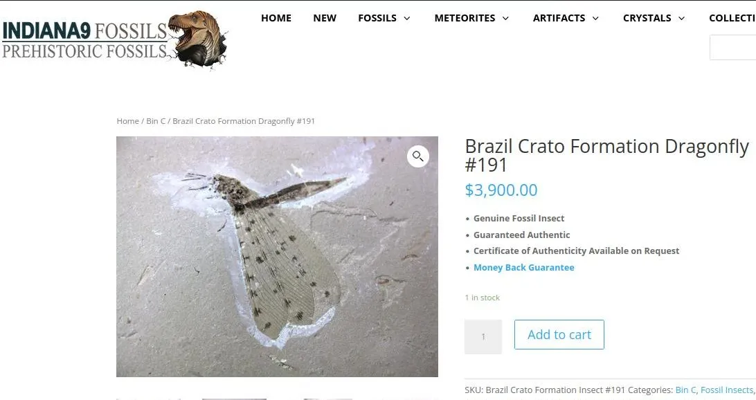 Peça mais cara encontrada por pesquisador chegava a quase R$22 mil, em cotação atual