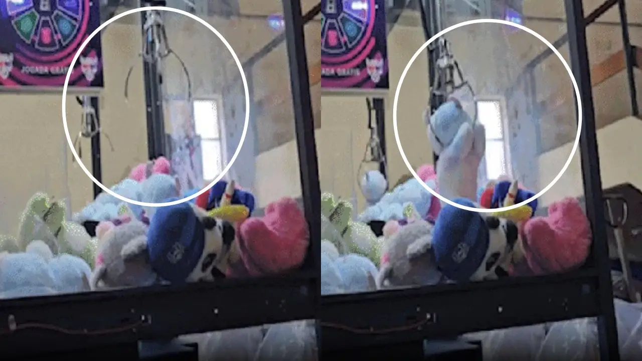 Imagem da notícia: Operação mira fraude em máquinas de bichos de pelúcia no Rio de Janeiro 