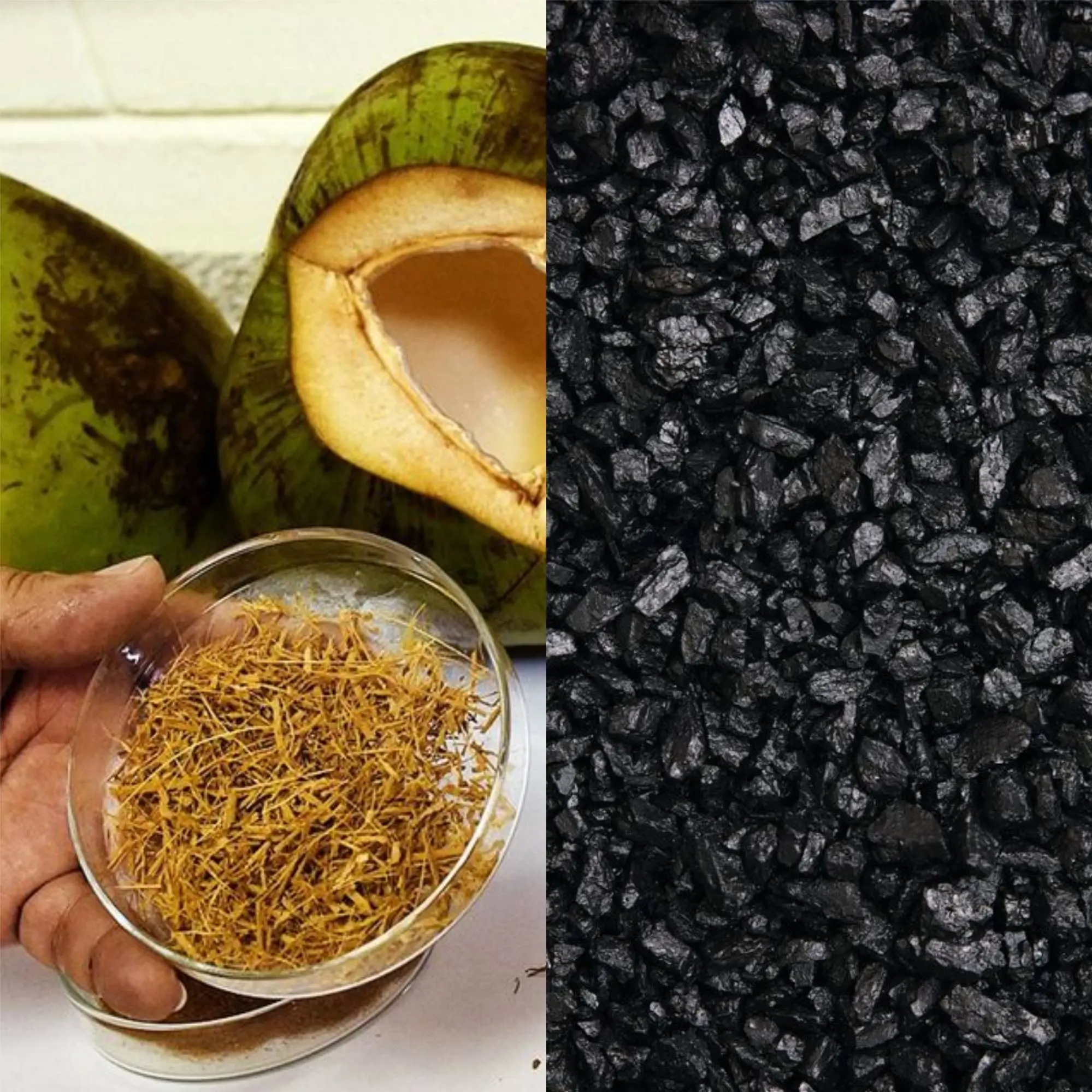 Imagem da notícia: Estudo no Ceará pode transformar coco verde em combustível para termelétricas