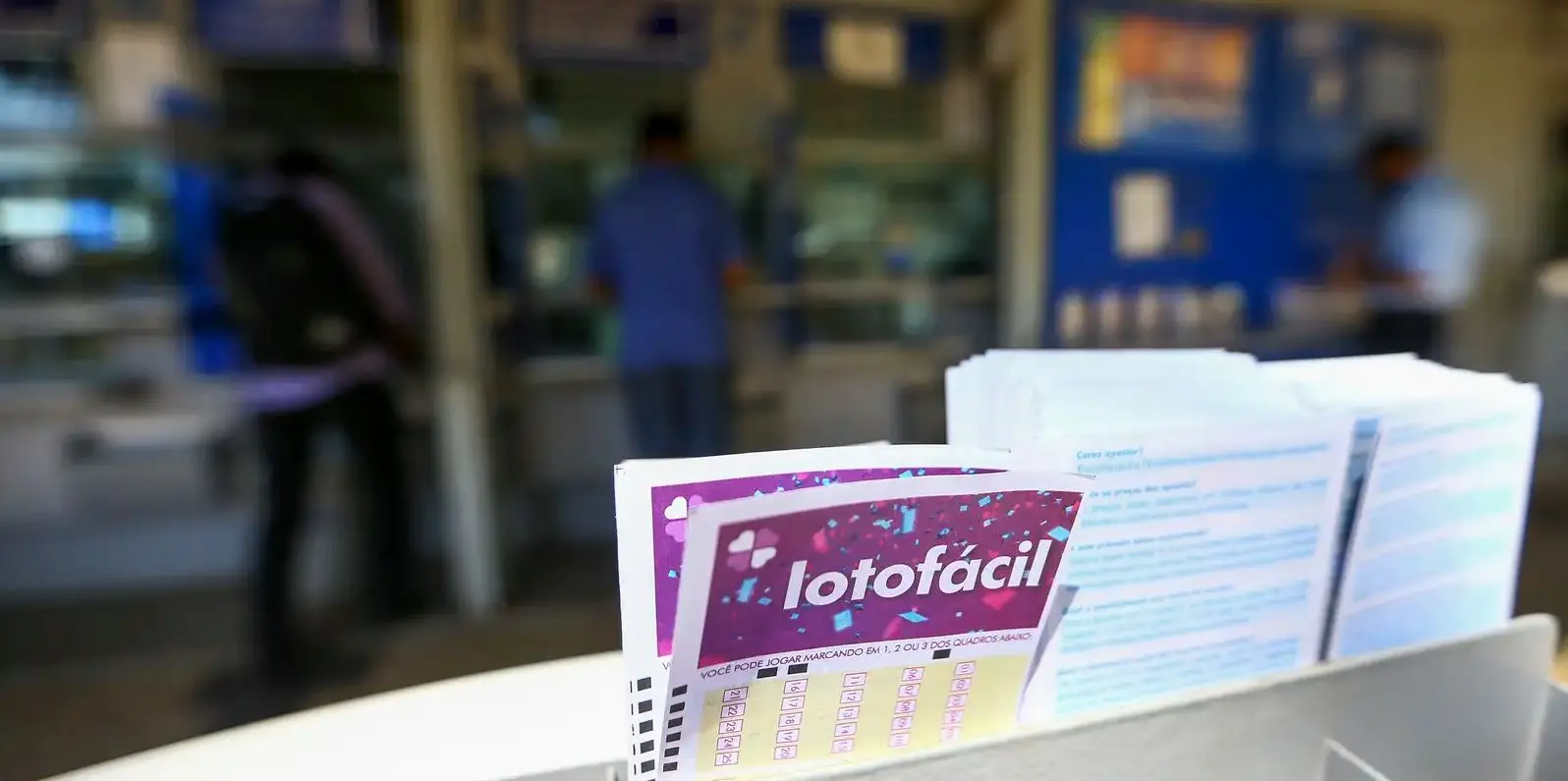 Imagem da notícia: Lotofácil da Independência: saiba até quando pode jogar em 2024