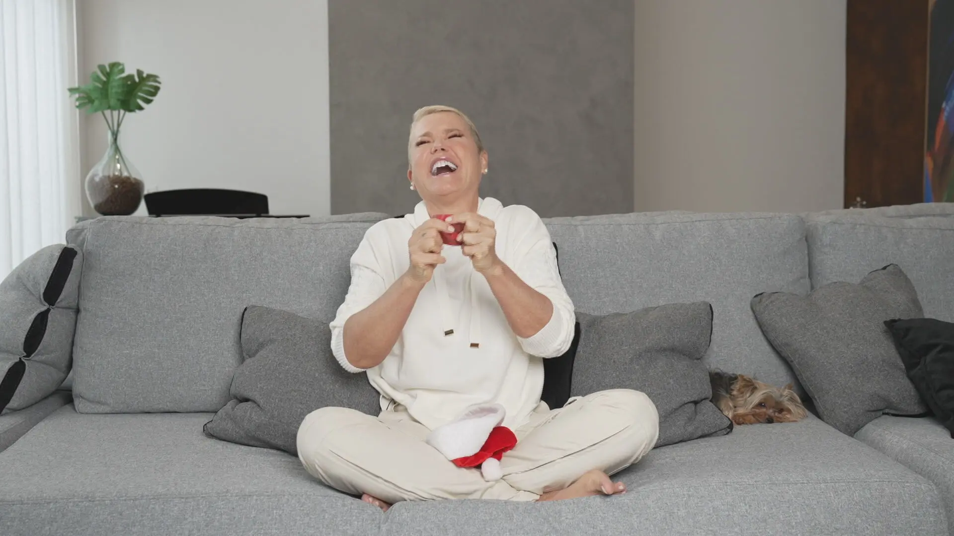 Imagem da notícia: Xuxa volta à TV Globo após 10 anos e ganha quadro no 'Fantástico' 