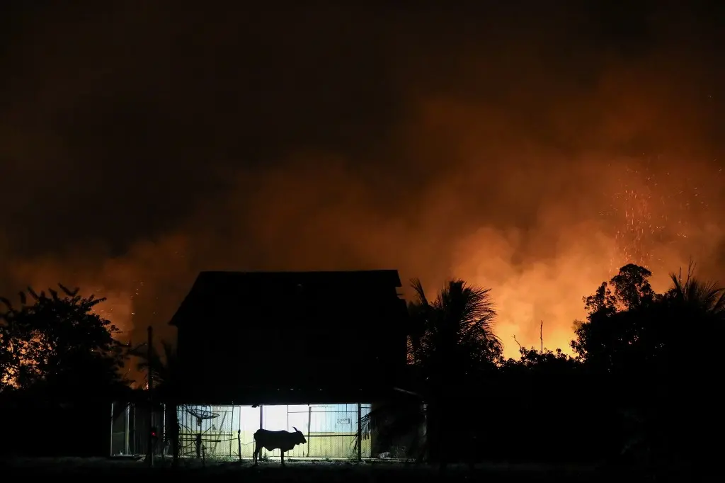 Imagem da notícia: Dino vê 'pandemia de incêndios florestais' no país e pede maior mobilização no combate