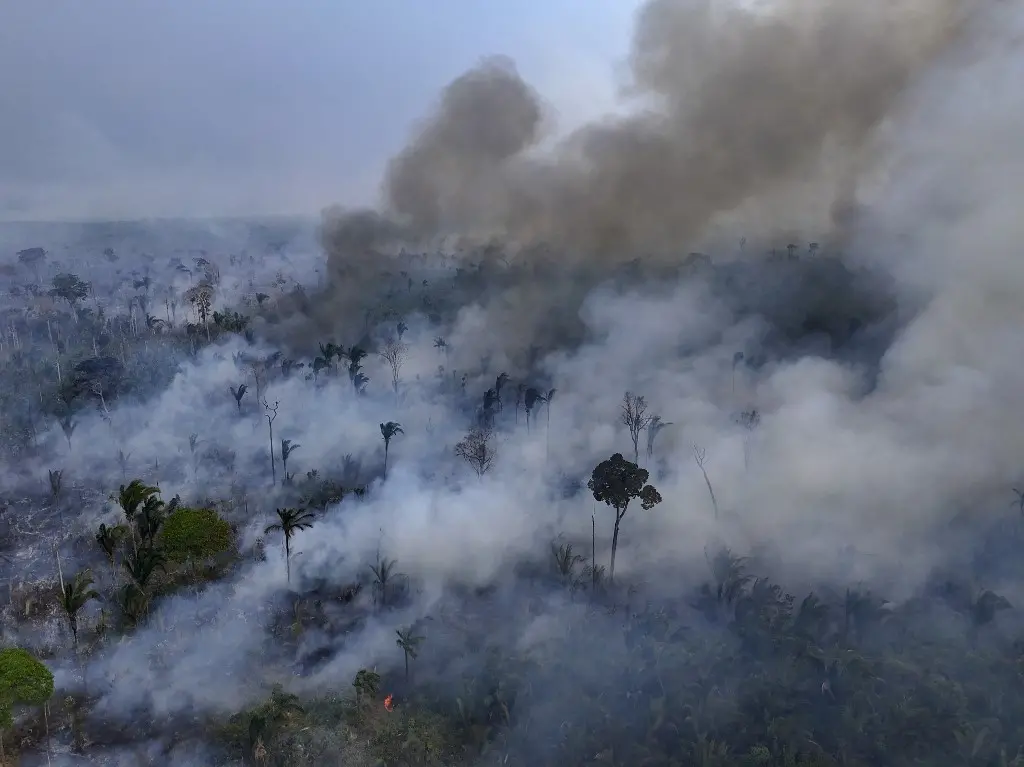 Imagem da notícia: Brasil concentra 76% de áreas afetadas por incêndios de queimadas em toda a América Latina