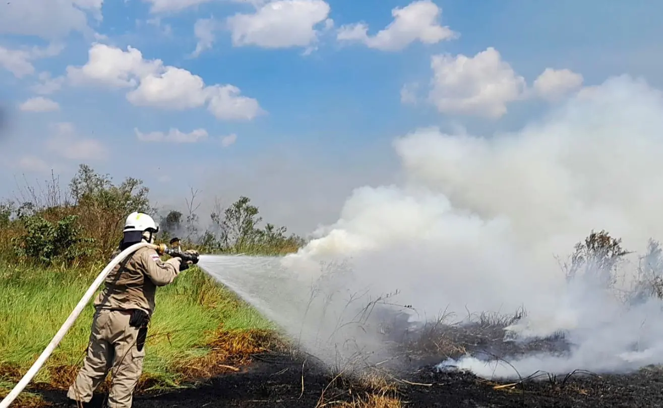 Imagem da notícia: Após determinação de Dino, Lewandowski convoca 150 bombeiros para combater queimadas