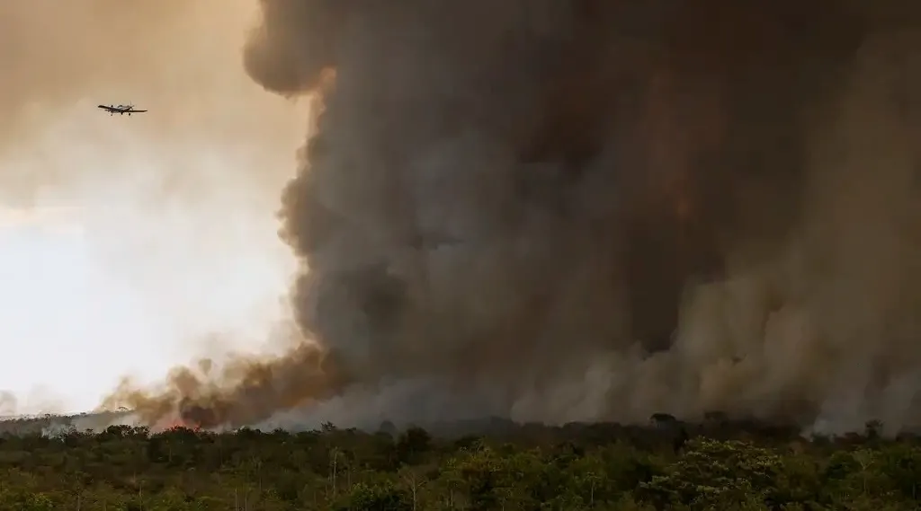 O Parque Nacional de Brasília foi atingido por um incêndio de grandes proporções