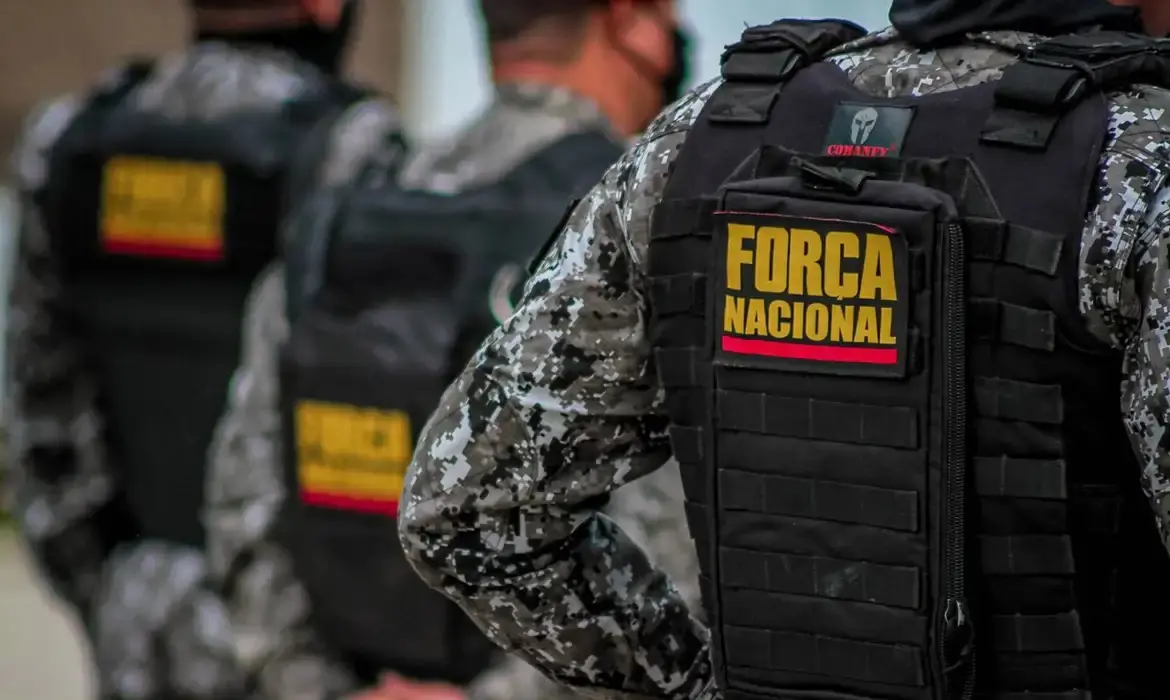 Imagem da notícia: Incêndios florestais serão combatidos pela Força Nacional em seis estados; confira lista