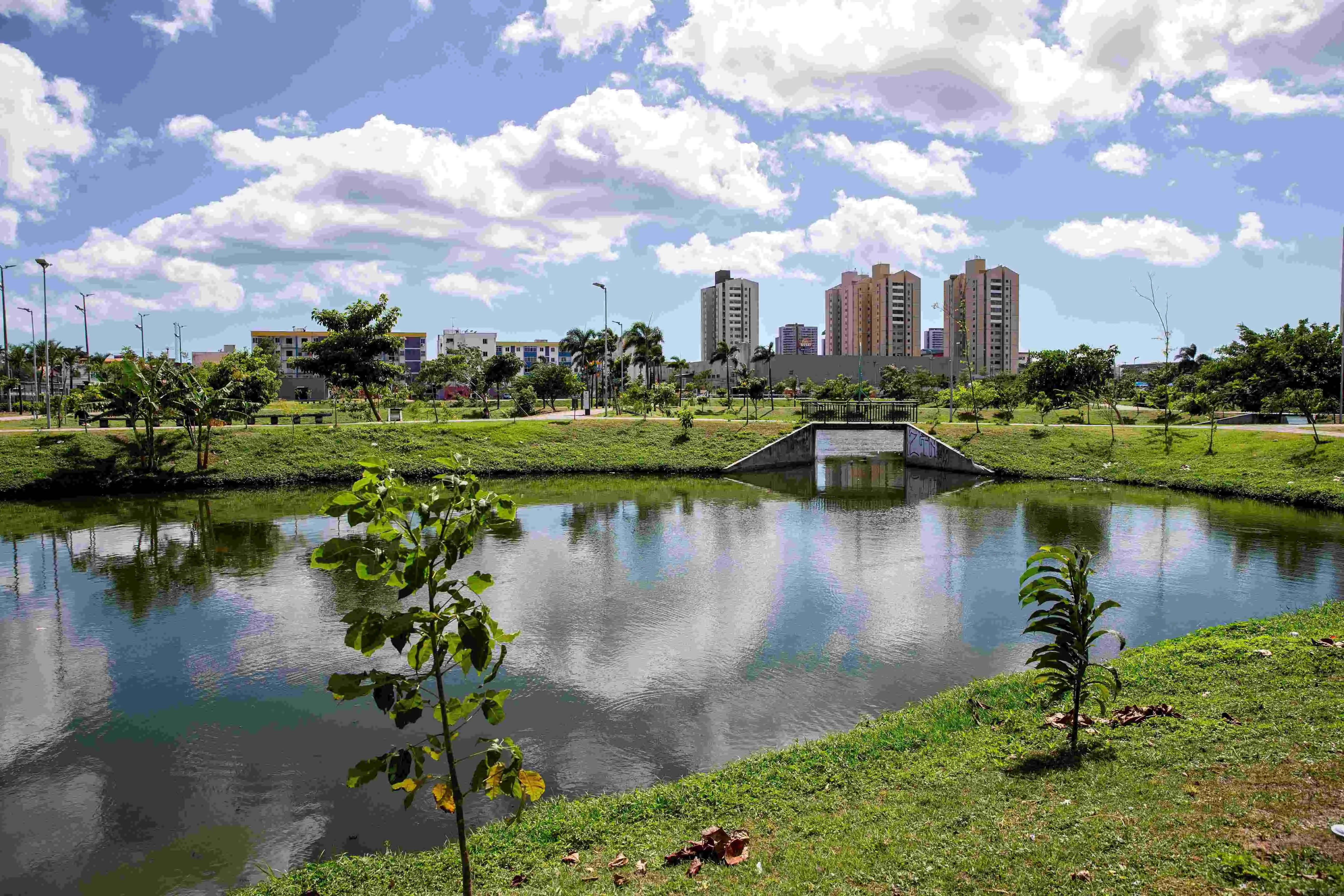 Imagem da notícia: O que é necessário para o debate eleitoral em Fortaleza quando o assunto é a crise climática