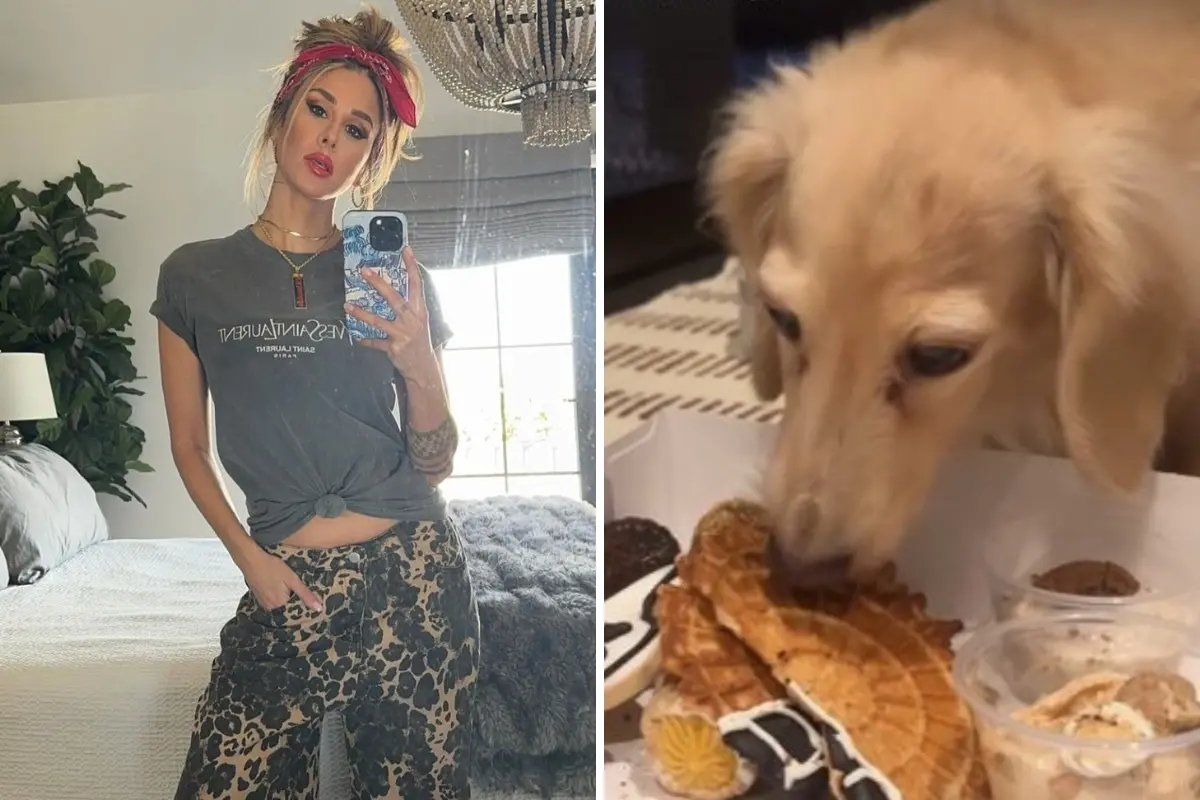 Imagem da notícia: Atriz Brittany Furlan salva cadela capturada por coiote no quintal de casa nos EUA