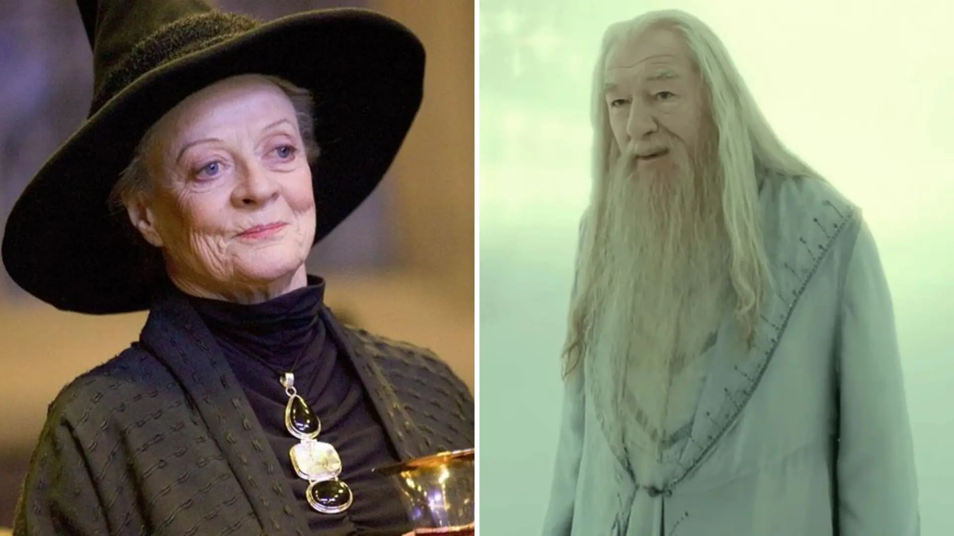 Imagem da notícia: Atores de Harry Potter morreram com um ano de diferença; veja