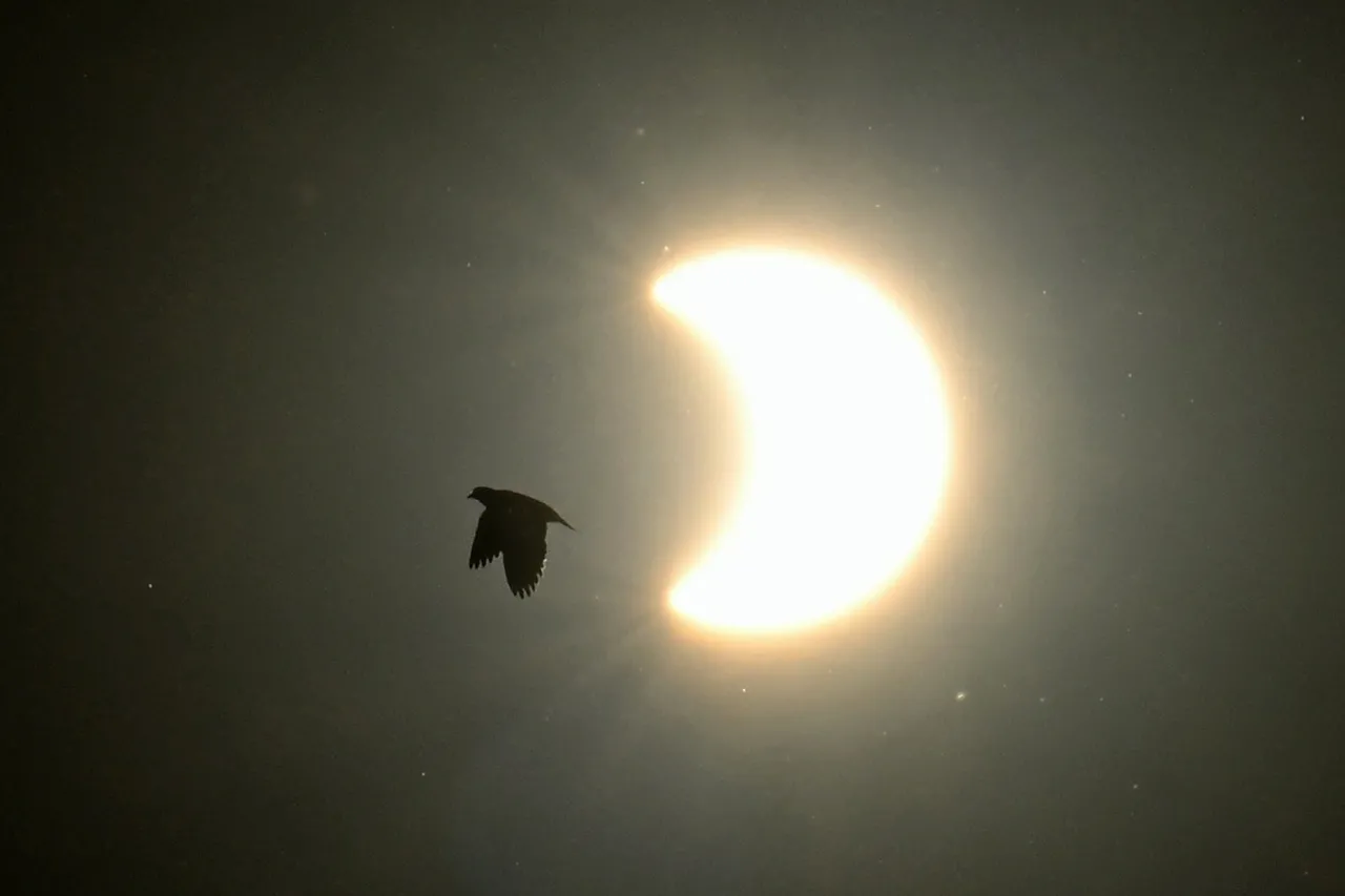 O eclipse geral chegou ao fim por volta das 18h45 (horário de Brasília)