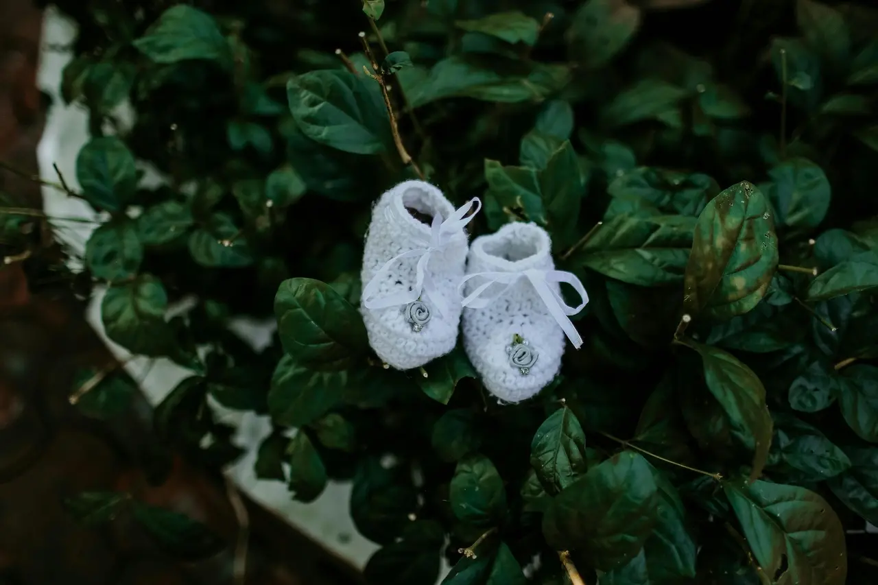 Sapato de crochê para bebê em meio a folhas verdes de árvores