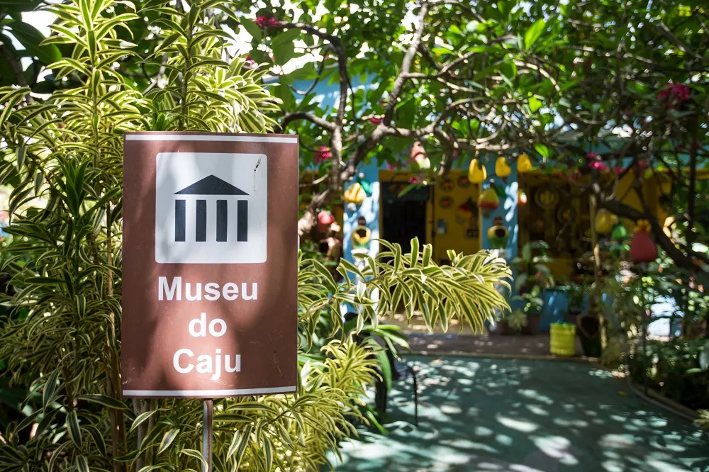Imagem da notícia: Único no mundo, Museu do Caju atrai visitantes a Caucaia para exaltar a riqueza regional
