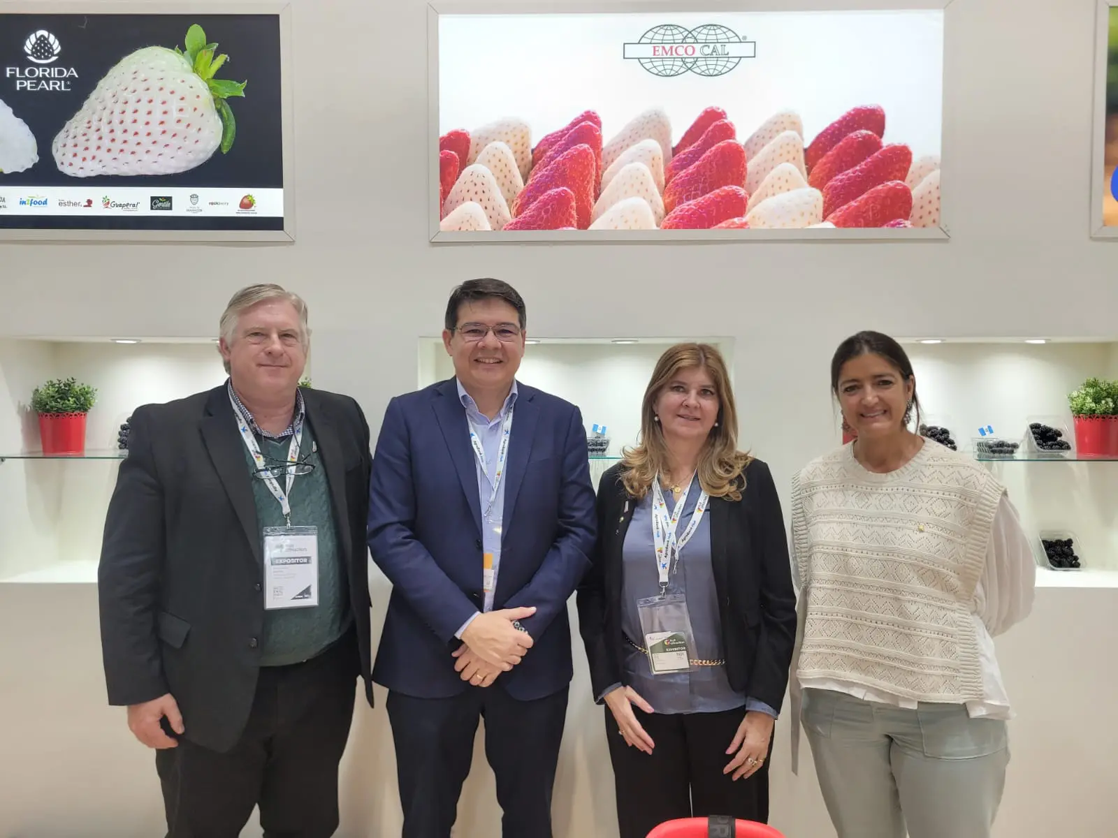 Imagem da notícia: Empresa chilena pesquisará mirtilo e fambroesa na Ibiapaba