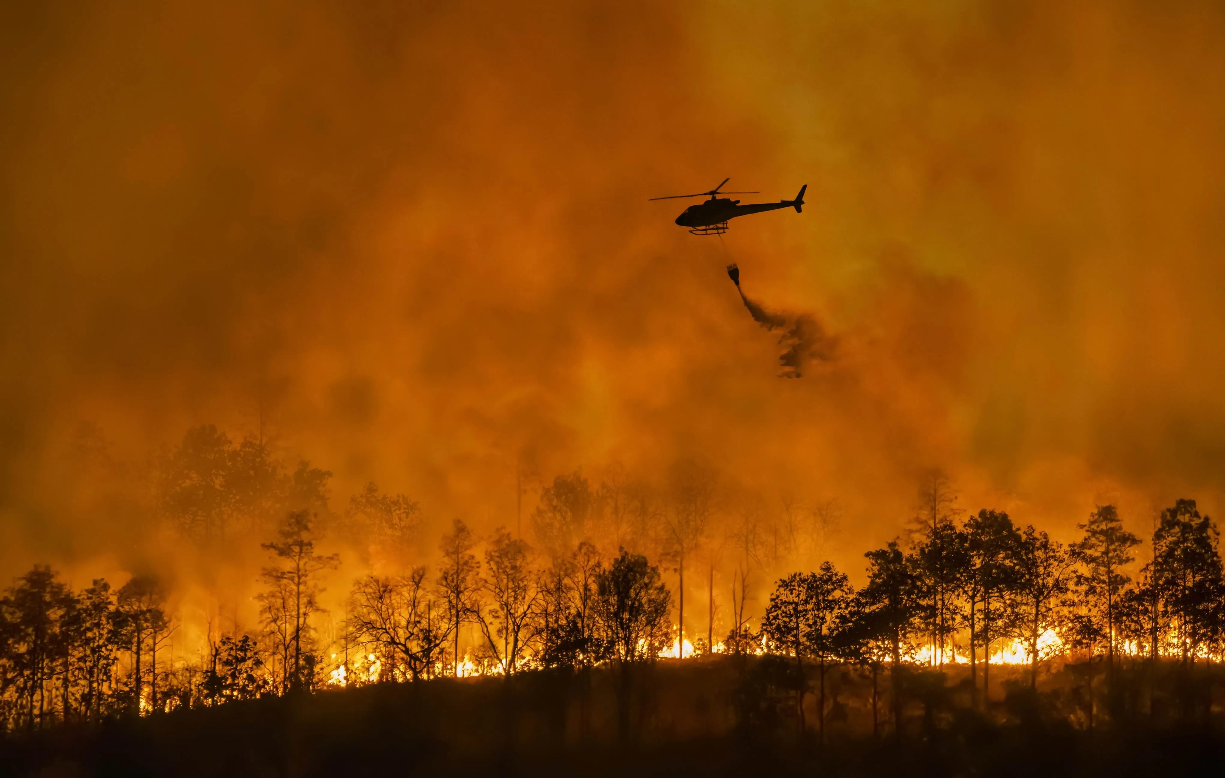 Os incêndios florestais costumam estar relacionados com atividades ilegais
