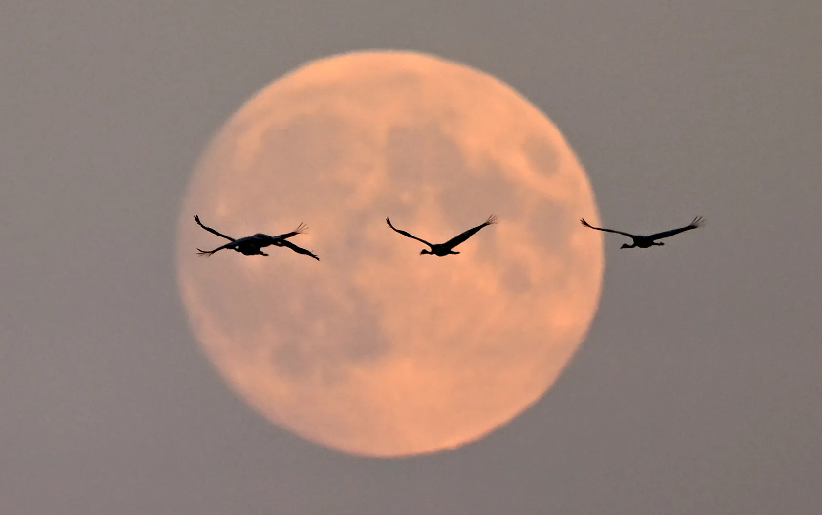 Imagem mostra evento no céu próxima à vila alemã de Linum, em Brandemburgo
