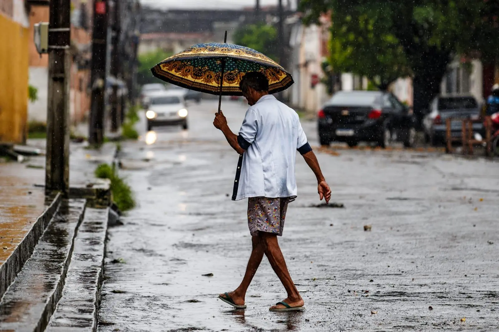 Imagem da notícia: Chuvas e ventos intensos devem atingir 48 cidades do Ceará até sábado (19); veja lista
