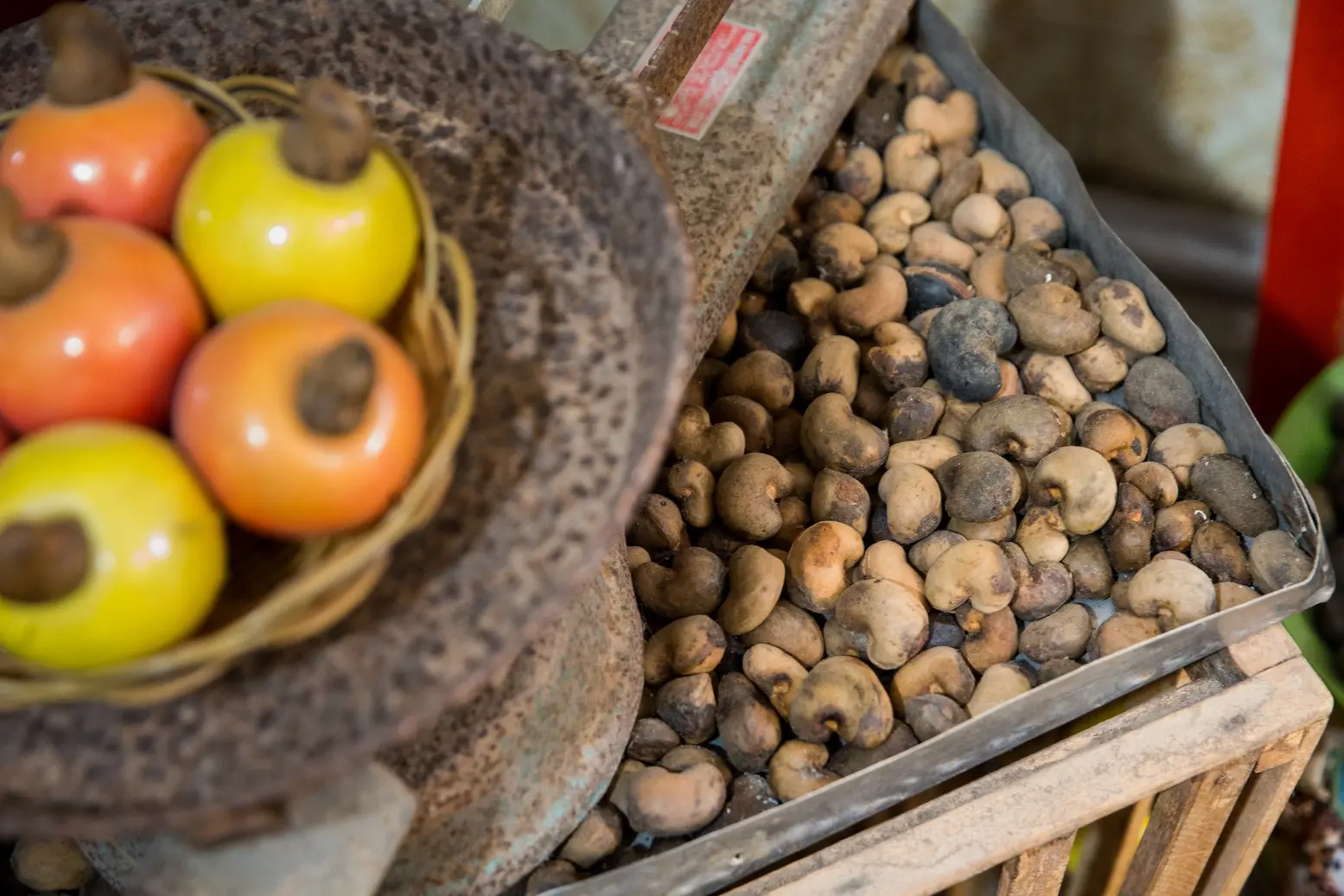 Imagem da notícia: Ceará tem 7 das 10 cidades que mais produzem castanha de caju no Brasil; confira lista
