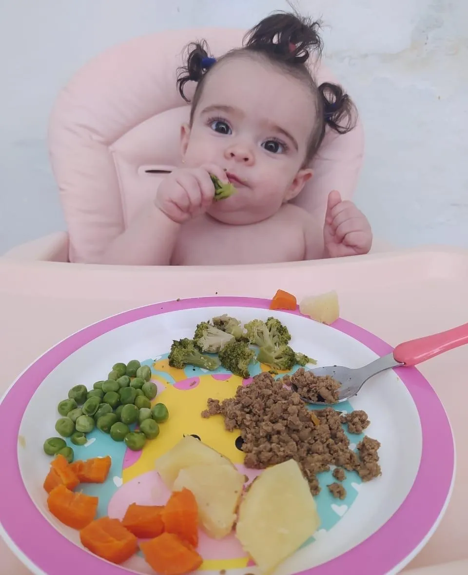 Uma cadeira de alimentação, um prato colorido e um sonho: Beatrice no início da introdução alimentar