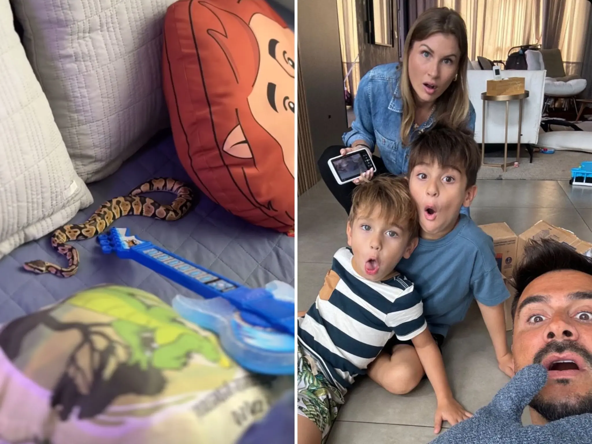 Imagem da notícia: Julio Rocha, ex-ator da Globo, encontra cobra píton na cama dos filhos e esposa o salva do animal