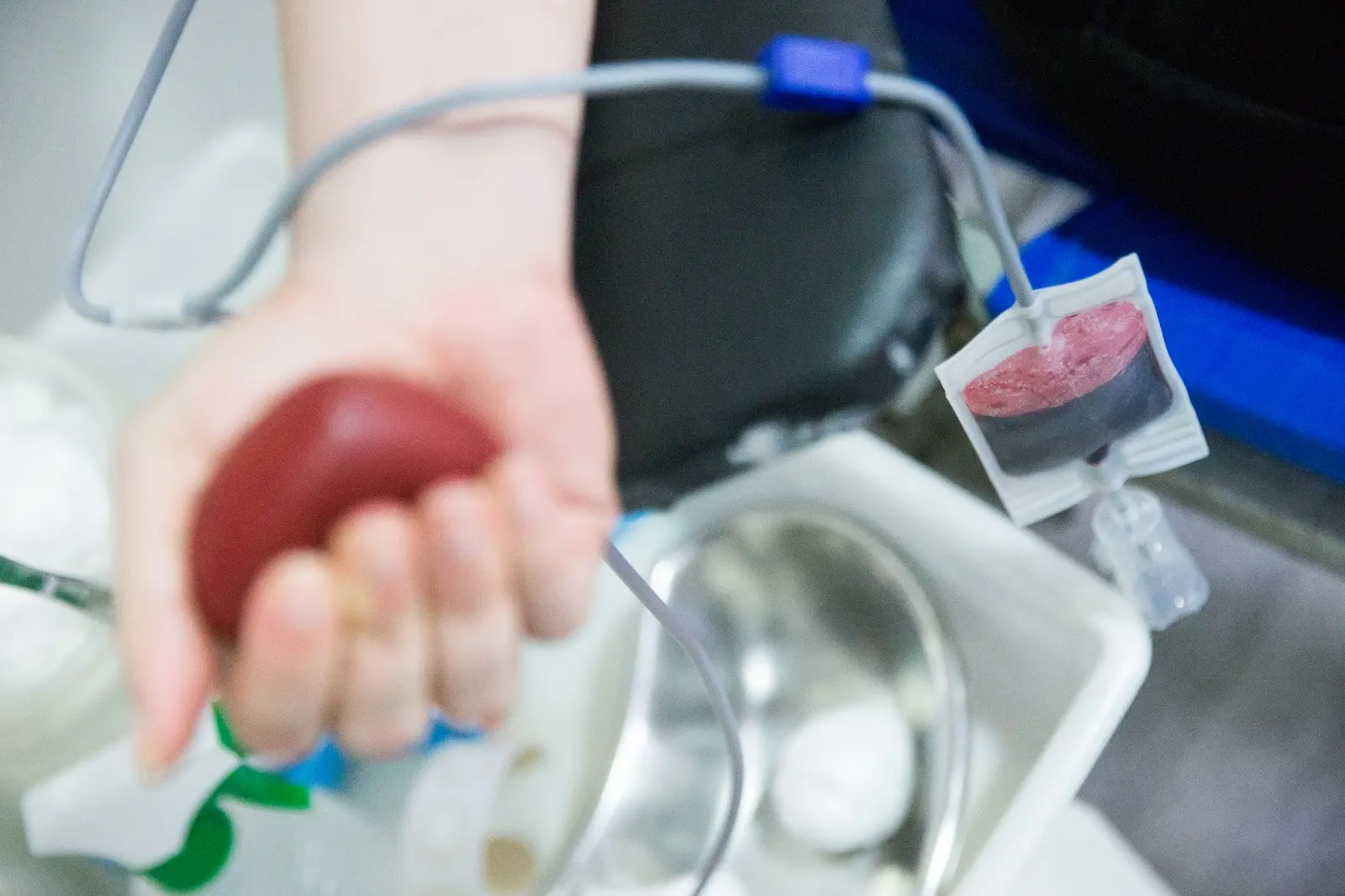 Imagem da notícia: Hemoce inicia Semana do Doador de Sangue neste sábado (23); confira a programação