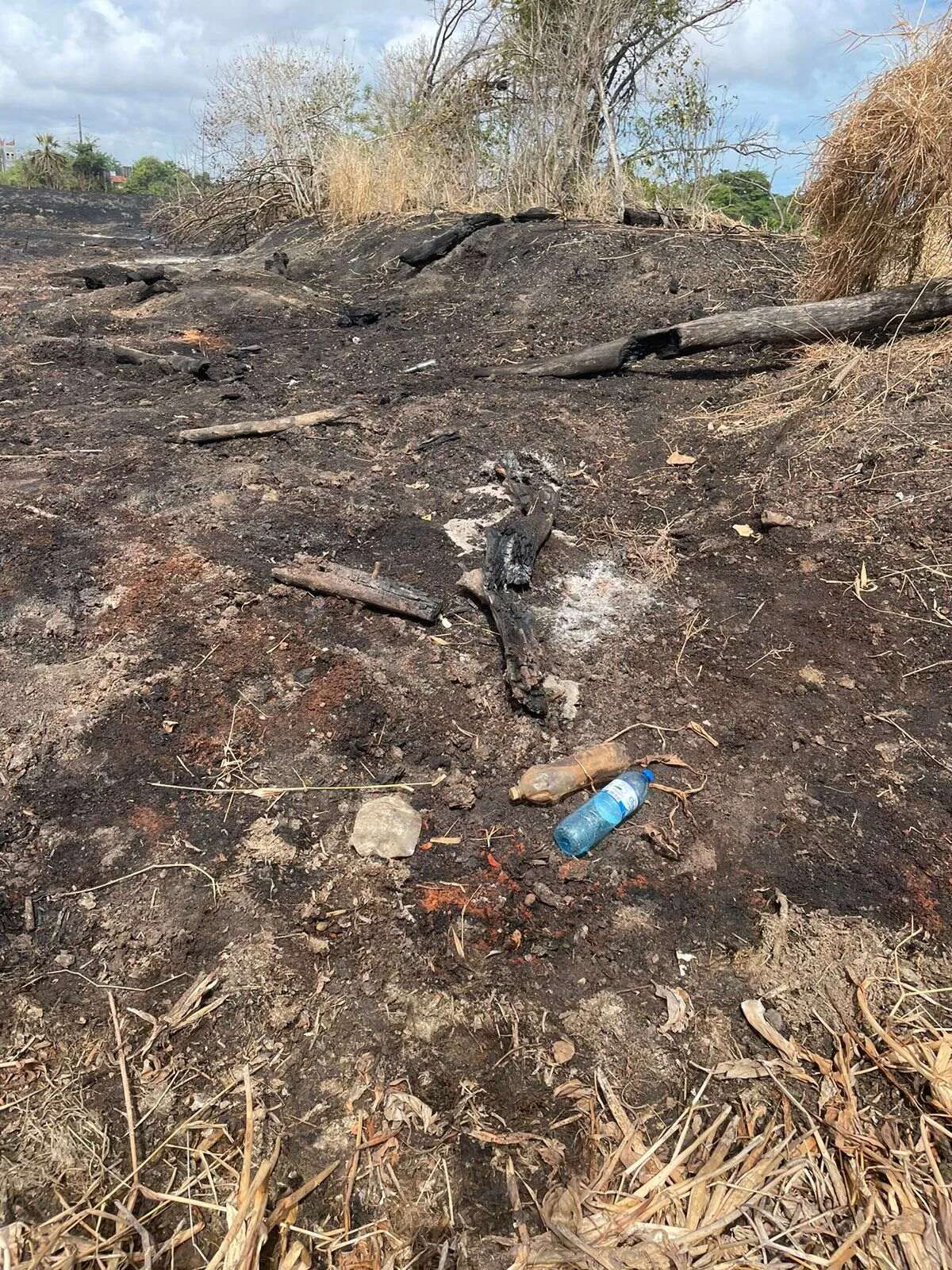 Lixo foi encontrado em área preservada, cercada e com acesso proibido