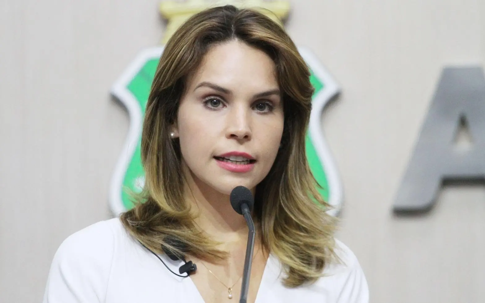 Imagem da notícia: Gabriella Aguiar afirma que dados não têm sido recebidos 'de forma clara' do Governo Sarto