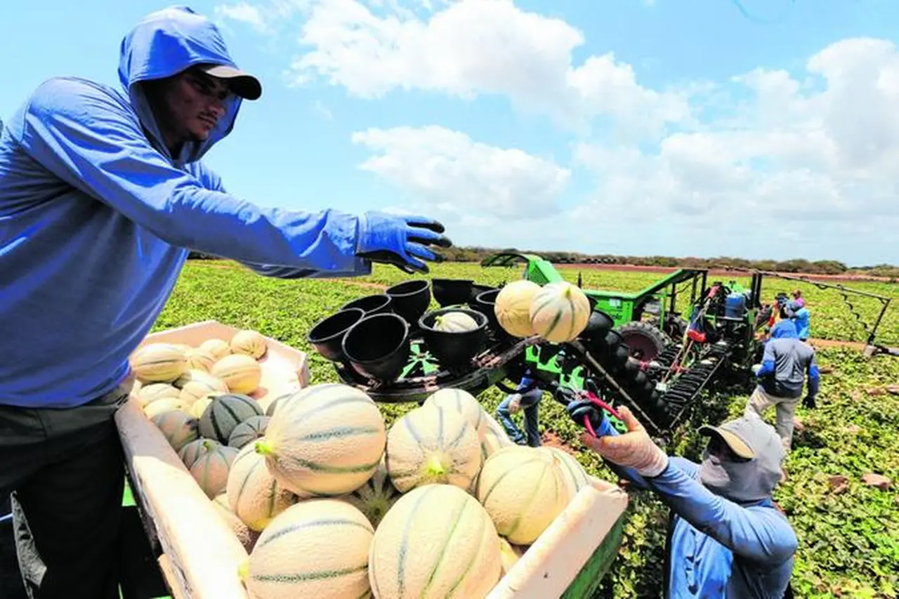 Imagem da notícia: Os grandes desafios do agro do Ceará ainda são água e energia