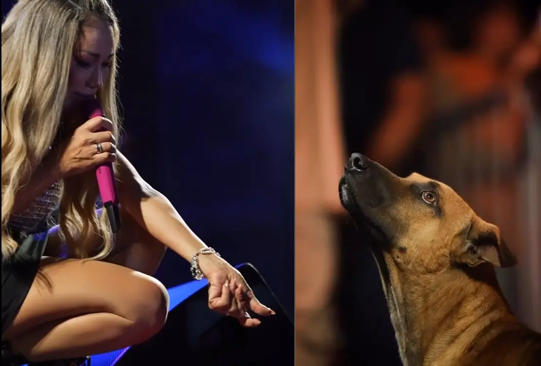 Imagem da notícia: Taty Girl decide adotar cachorro que viralizou ao assistir show dela no Piauí