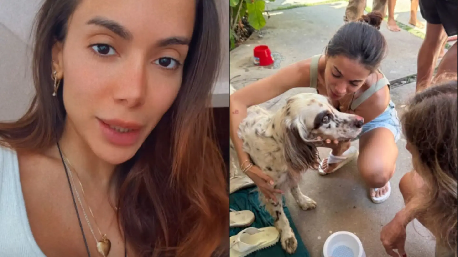 Imagem da notícia: Anitta encontra cachorro desaparecido na véspera de Natal