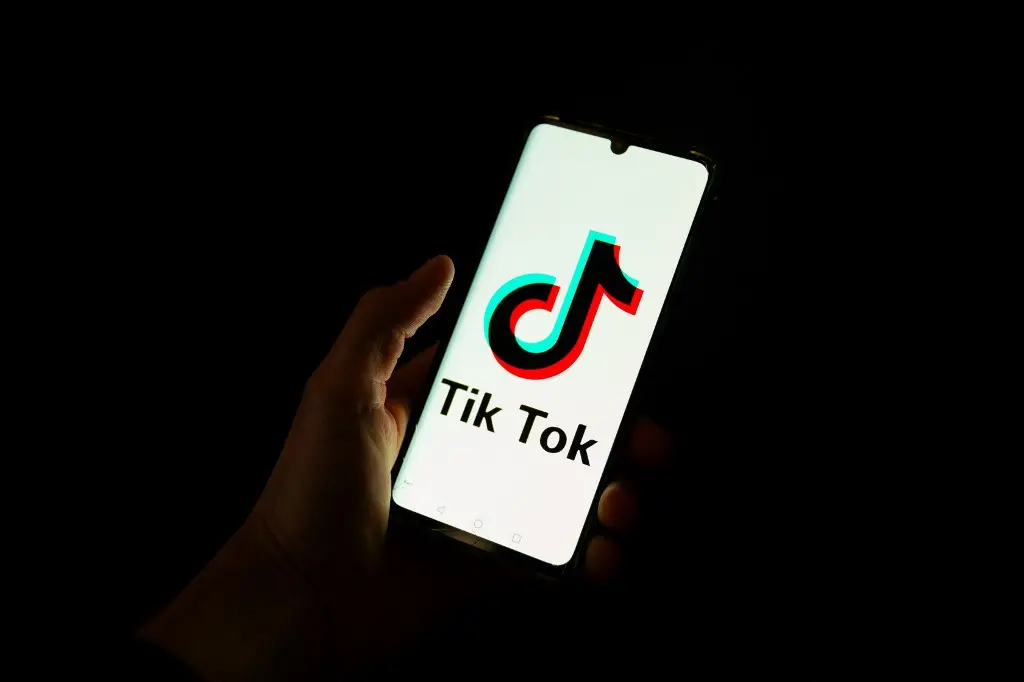 Imagem da notícia: TikTok nega boato de que autoridades chinesas estariam negociando venda de plataforma para Elon Musk: 'Pura ficção'
