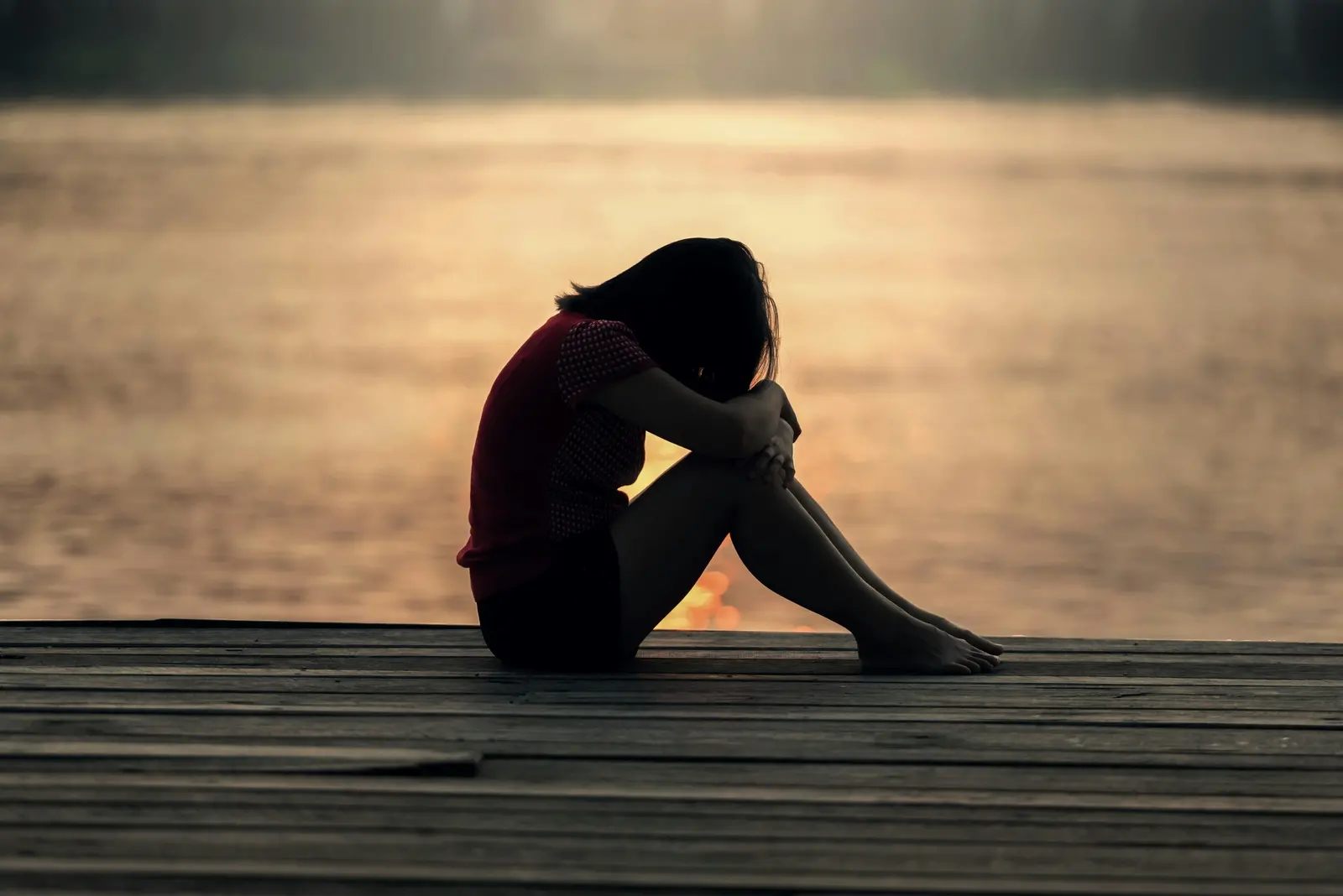 Imagem da notícia: Os ursinhos de pelúcia fantasiados de cactos