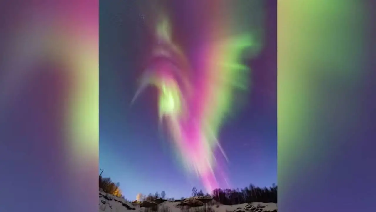 Imagem da notícia Aurora boreal com formato de beija-flor é escolhida como 'Imagem do Dia' pela Nasa