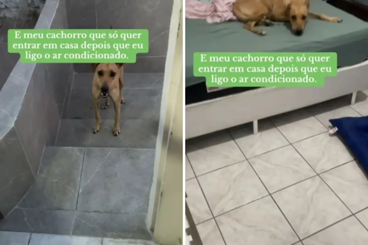 capa da noticia