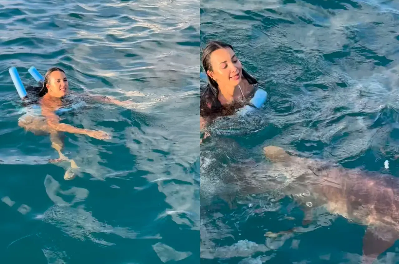 Imagem de uma mulher no mar se deparando com um tubarão e chutando ele.