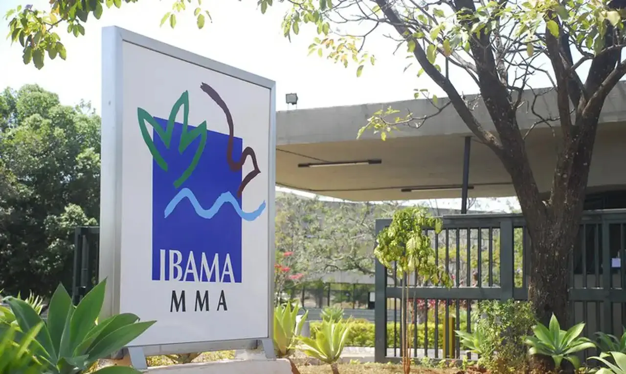 Imagem da notícia: Concurso do Ibama: veja cargos e salários previstos para o Ceará