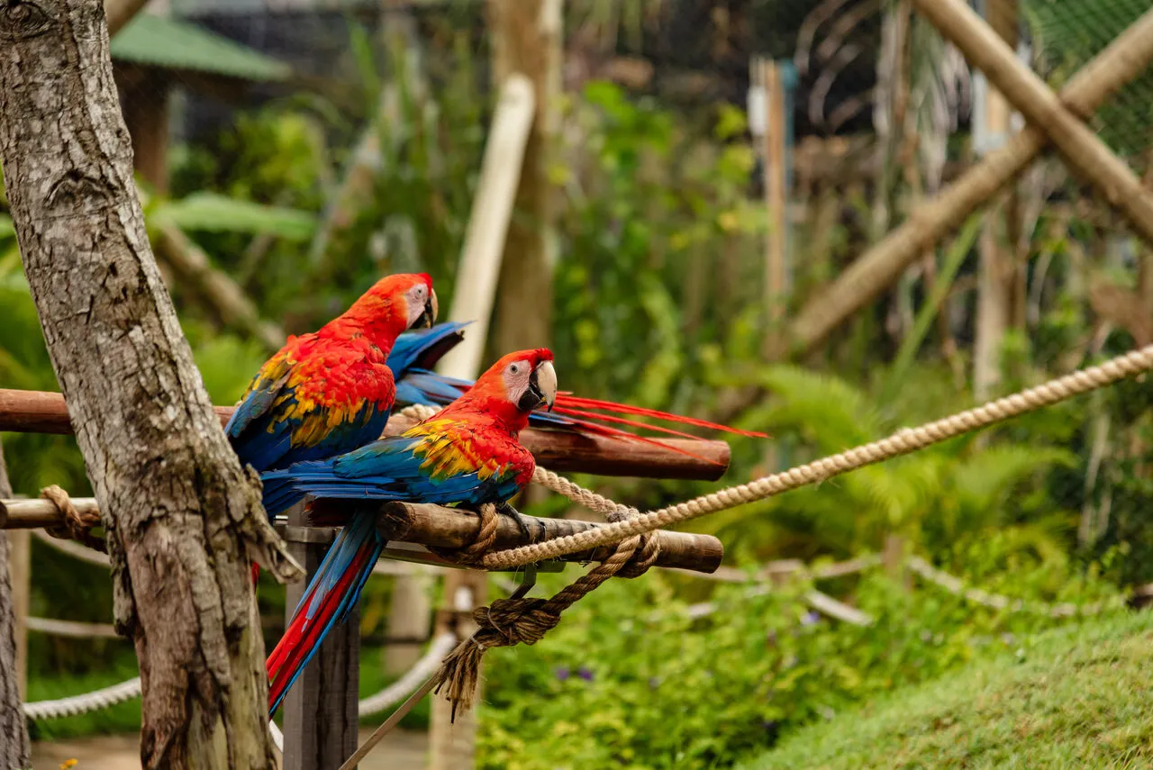 Parque Arvorar está localizado em Aquiraz