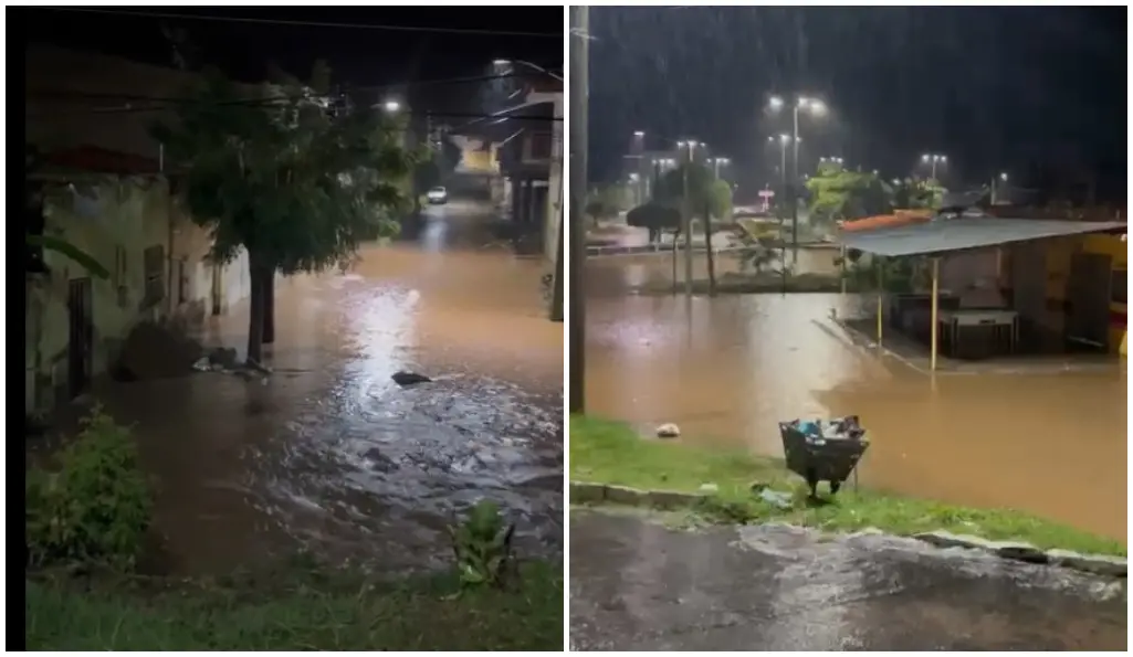 Imagem da notícia: Casas são invadidas por água e animais ficam ilhados após chuva de 161 mm em Várzea Alegre