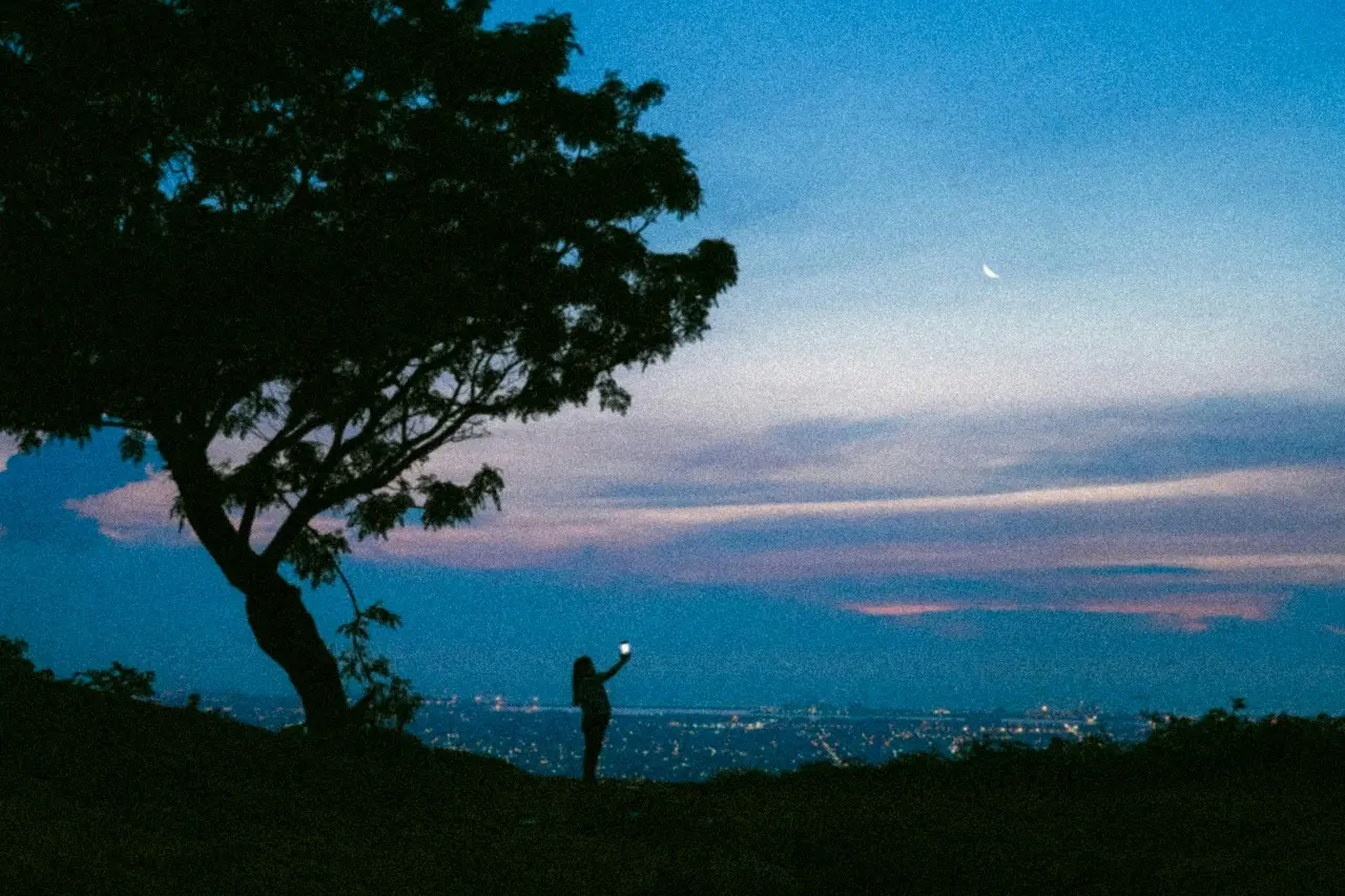 Imagem da notícia Tu retornarás ao pó e à luz de onde viestes