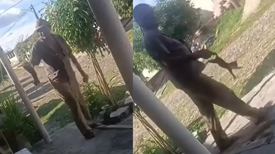 Imagem da notícia: Idoso suspeito de arremessar e matar filhote de gato no interior do Ceará é morto a tiros