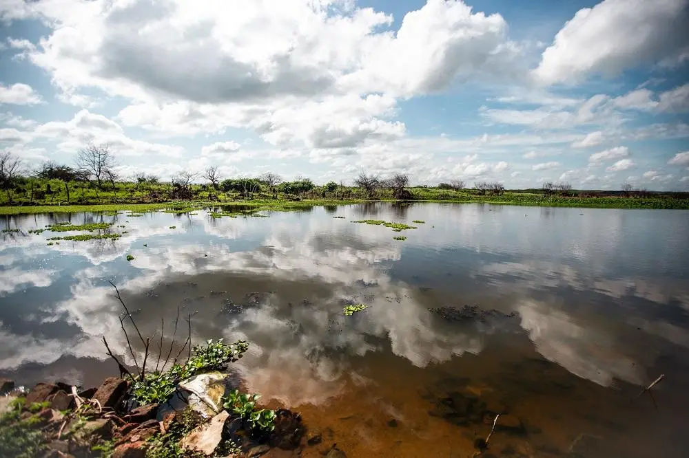 Imagem da notícia: Castanhão, Orós e Banabuiú: saiba como serão usadas até junho as águas dos 3 maiores açudes do Ceará