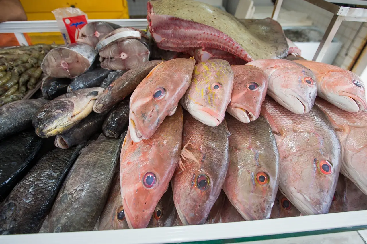 Imagem da notícia: Sem aumento no preço, comércio de peixes para Semana Santa deve crescer 30% na quaresma