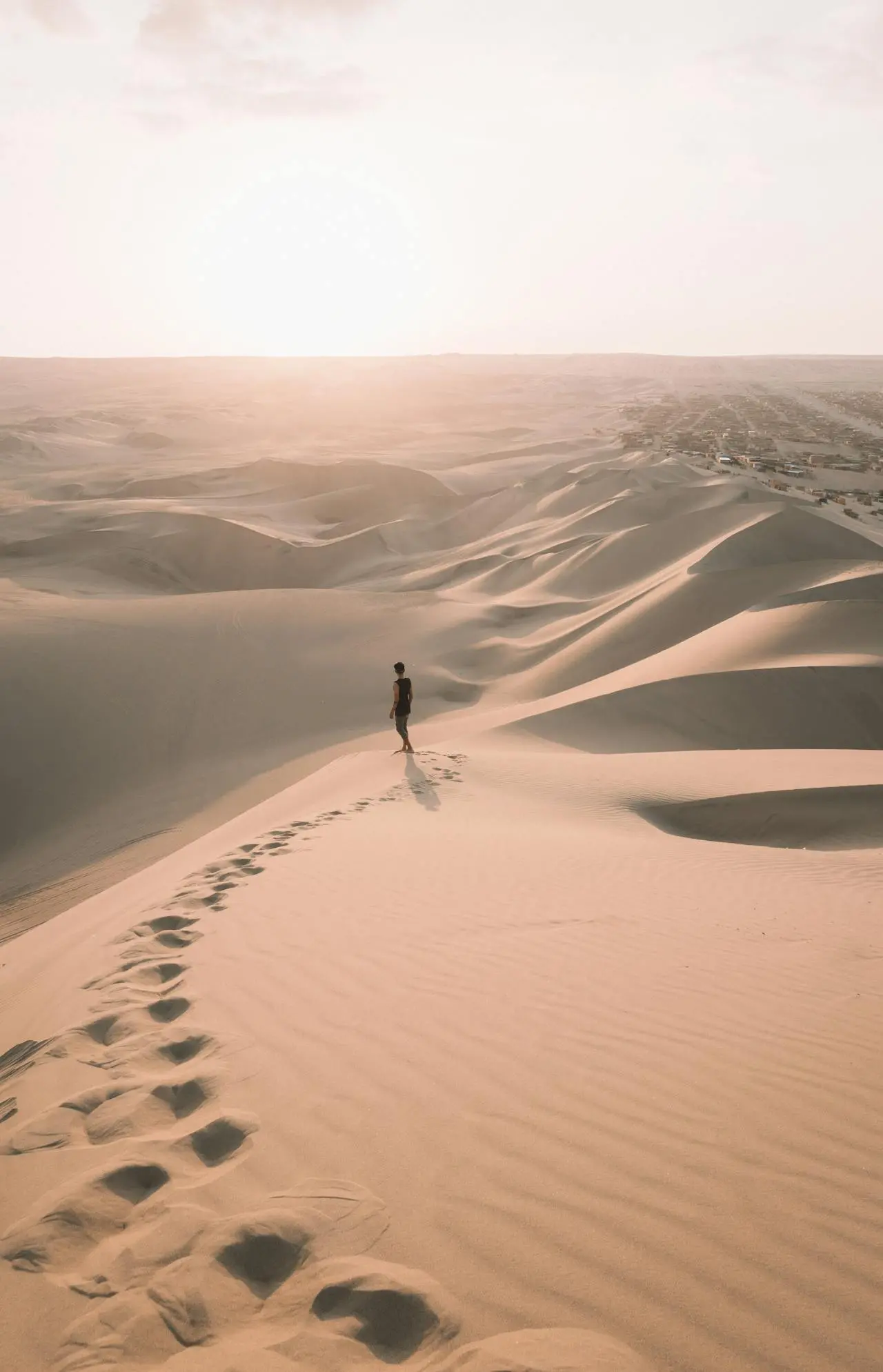 Imagem da notícia A travessia dos desertos afetivos