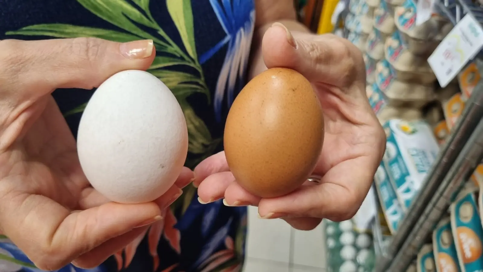 Imagem da notícia: Mais caros, ovos grandes podem ficar menores com nova regra: 'quase de codorna' 
