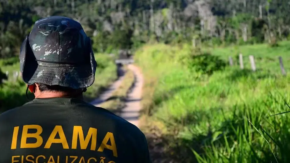 Imagem da notícia: Concurso do Ibama: confira passo a passo para consultar o local de prova 