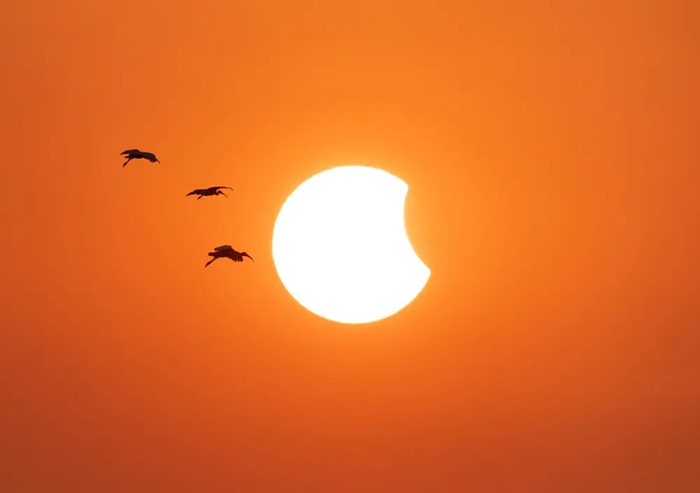 Imagem da notícia Primeiro eclipse solar parcial de 2025 será neste sábado (29) e não poderá ser visto do Brasil