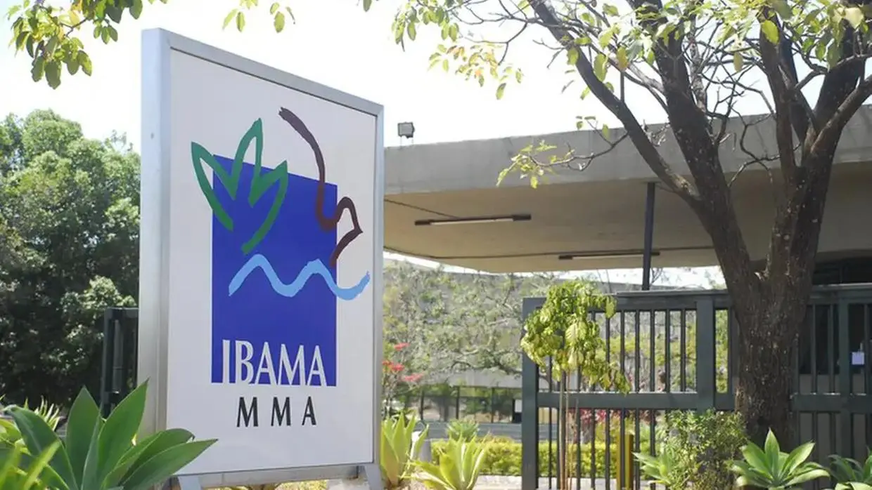 Imagem da notícia: Concurso do Ibama: Veja pontuação mínima prevista para evitar eliminação